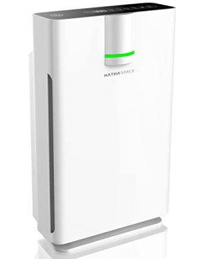 HATHASPACE Smart Air Purifier 2.0 for Home Large Room with True HEPA Air Filter for Allergens, Pets, Smoke, Quiet Air Cleaner, Removes 99.9% of Dust, Mold, Pet Dander, Odors, Pollen - HSP002 - 1500 Sq. Ft. Coverage - H13 True HEPA