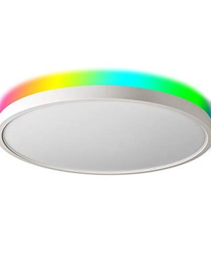 Taloya Smart Ceiling Light Flush Mount LED WiFi, Compatible with Alexa Google Home, Dimmable Low Profile Ambient Light Fixture for Bedroom Living Room,12 Inch 24W