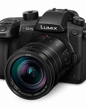 Panasonic LUMIX GH5 4K Mirrorless Camera with Lecia VARIO-Elmarit 12-60mm F2.8-4.0 Lens (DC-GH5LK)